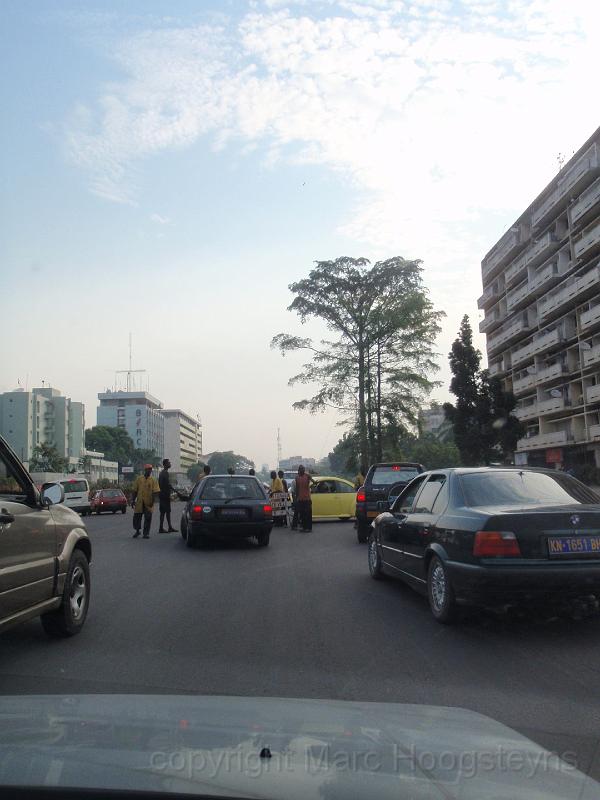 14 One of the last standing trees on the boulevard du 30 juin in Kinshasa (1).jpg